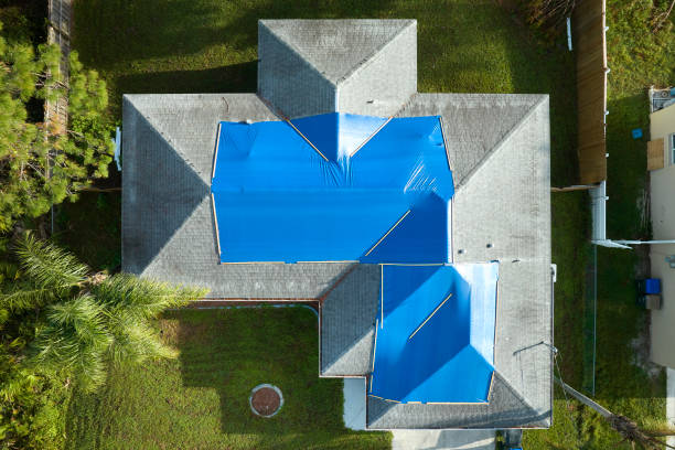 Best Roof Coating and Sealing  in Hillsborough, NJ