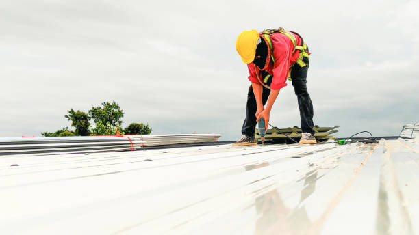 Best Gutter Installation and Repair  in Hillsborough, NJ