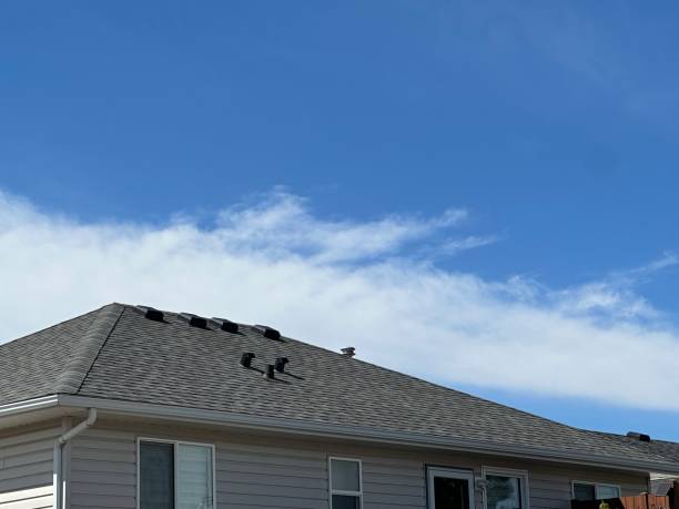 Best Steel Roofing  in Hillsborough, NJ